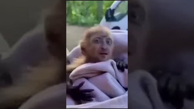 Это всё, что останется после него.... (240p)