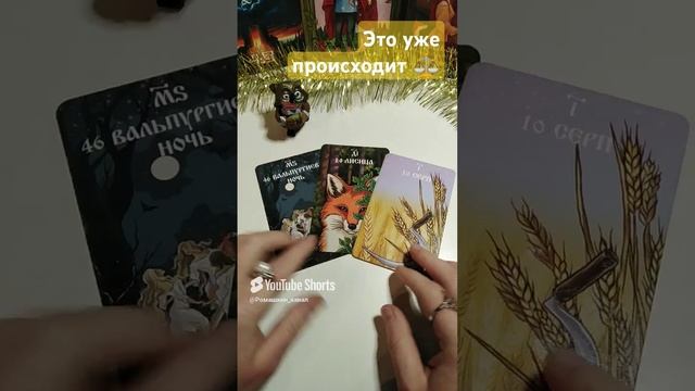 Что сейчас скрыто от тебя #таро #tarot #гадание #бумеранг