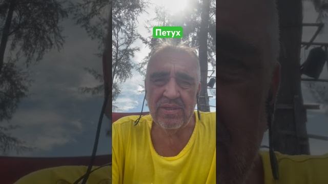 Петух