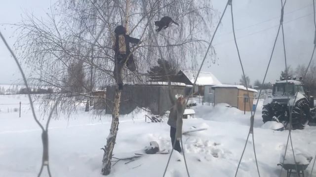 Кончилось лето, грачи улетели…А у нас свежий зимний урожай!!!