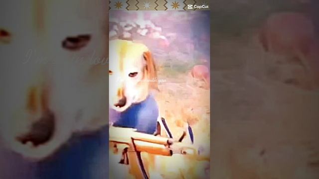 1000025900.mp4