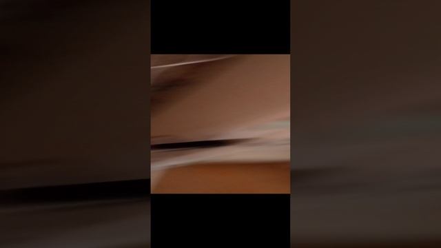 1000010285.mp4
