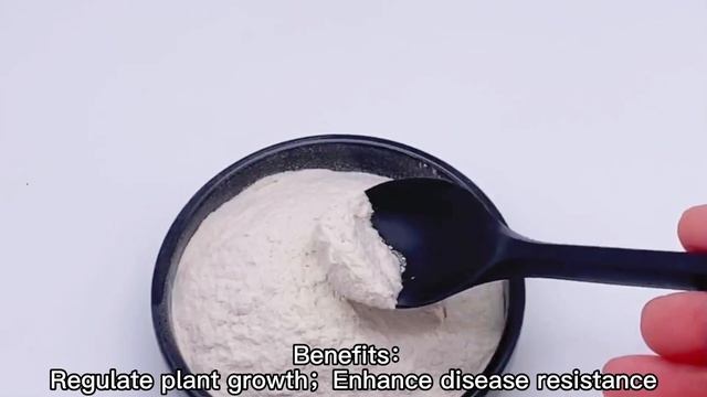 Chitosan