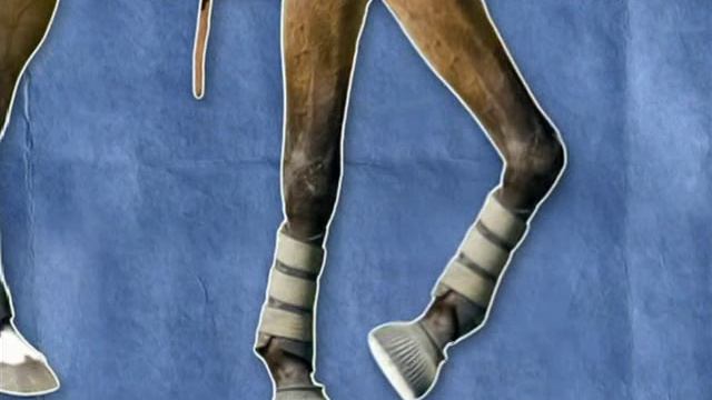 Разрушители легенд 5 сезон 10 серия