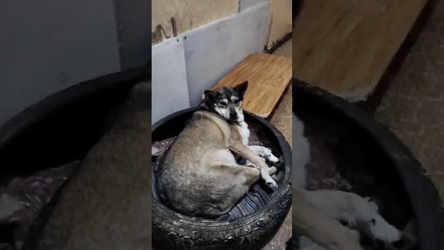 наши будни