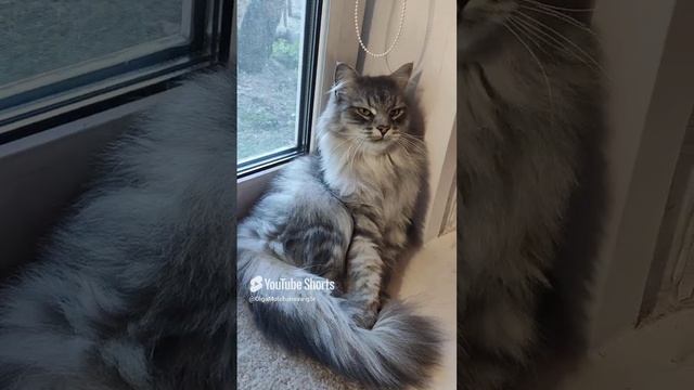 Кузьма