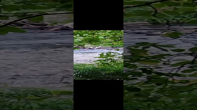 296d0699-9871-465f-b38f-cdc14ff79490-1_all_10091.mp4