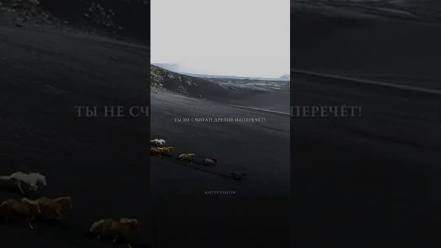 Омар Хайям о друзьях