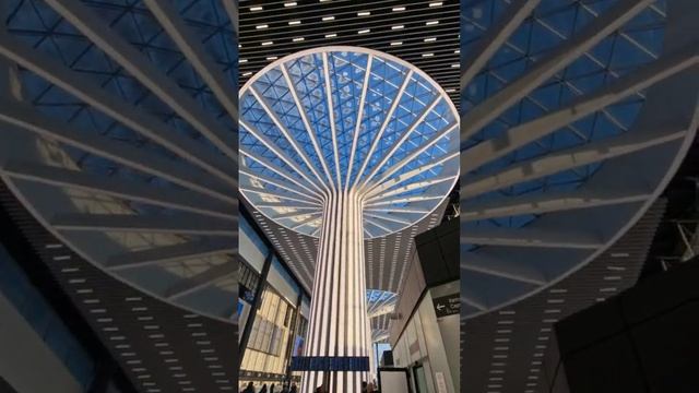 аэропорт Толмачёво, г.Новосибирск