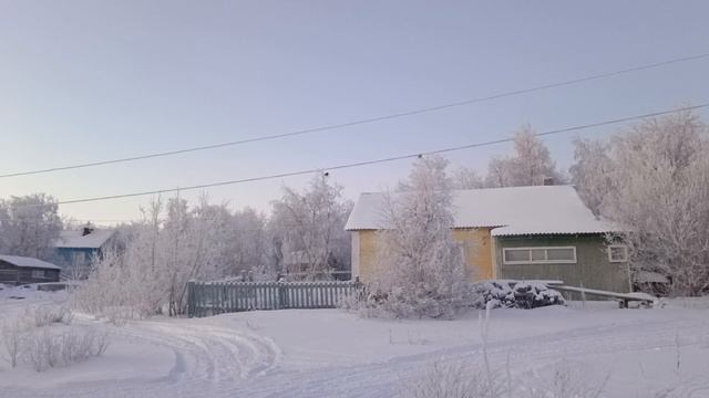 Хонгурей, тетерева прилетели