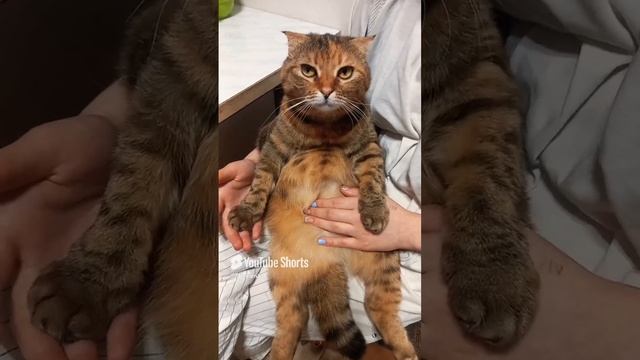 самое загадочное слово.mp4