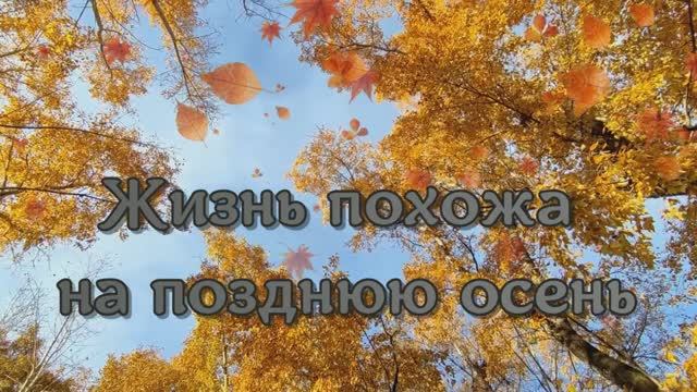 Жизнь похожа на позднюю осень