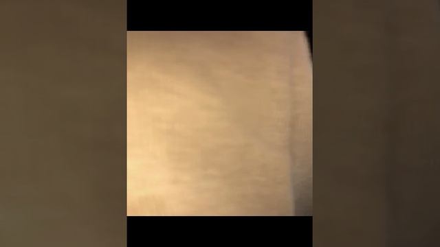 75655210440__C9CC3916-6F2E-432D-A6B6-D266812385A5