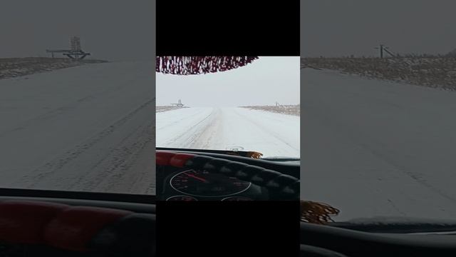 1000010619.mp4