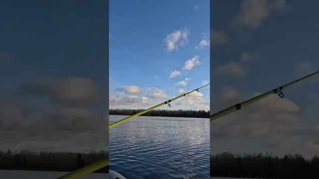 Крупный окунь на воблер!