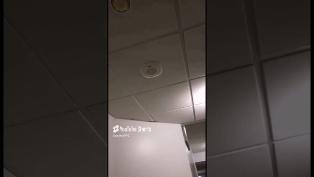 Блюз
