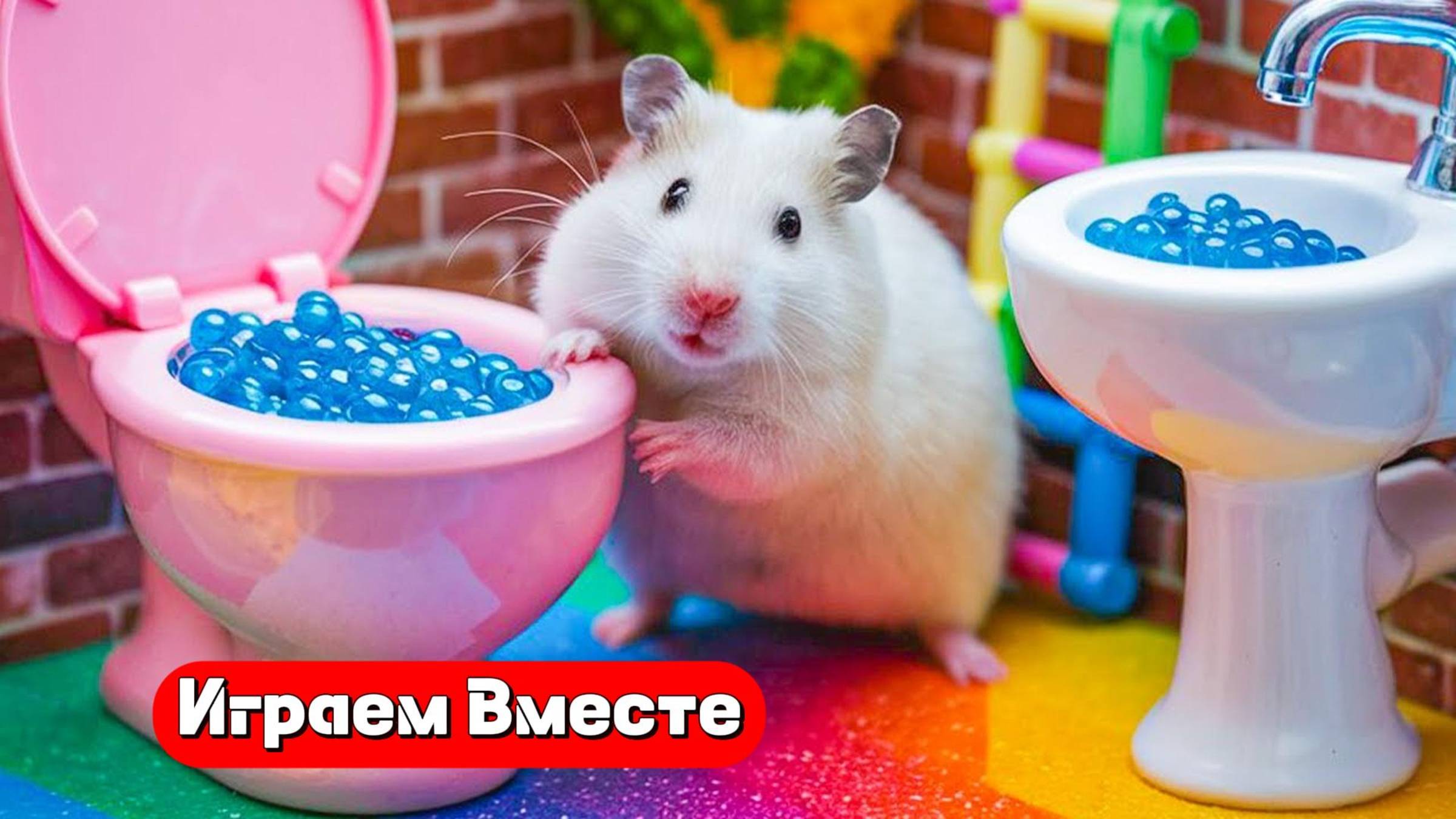 Вместе с Хомяком выбираемся из лабиринта с ловушками 🐹🐹🐹 Видео для детей 👍👍👍