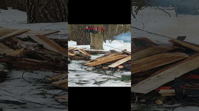 Порубас #32 22.12.24 (Кузьминки) я, Зина