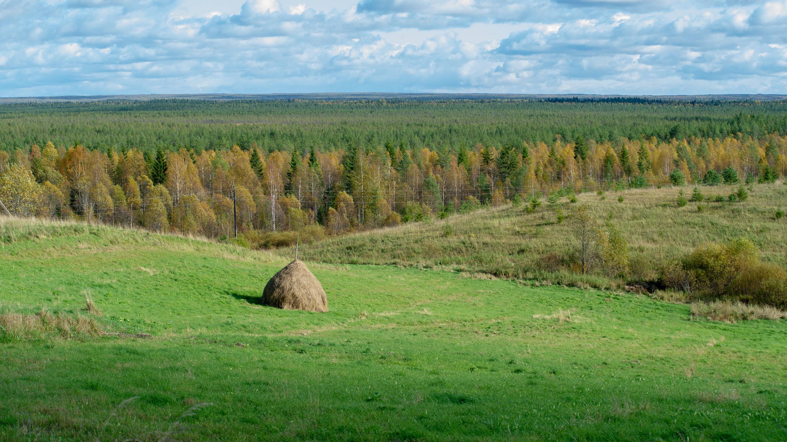Вадья 2019