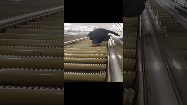 22-12-2024м. Академический Санкт Петербург