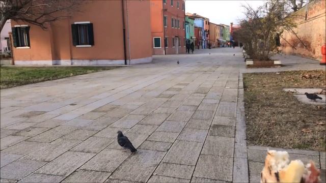 Thriftism Italian Adventures Day 8 - Burano Venice Italy
