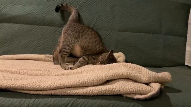 1000259920.mp4