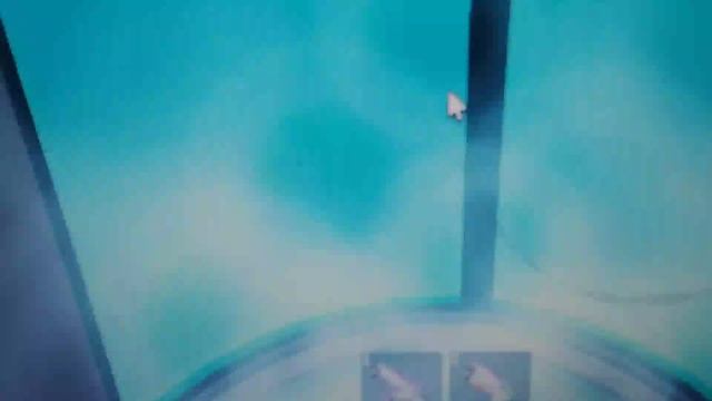 1000000395.mp4