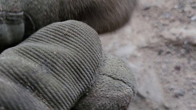 Нашёл монету под подоконником // сталкинг // medved_1230