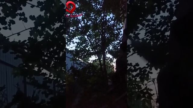 май 2023 Донецк