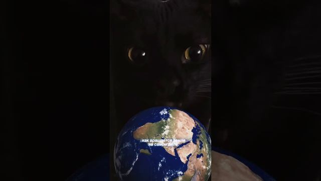Теперь вы знаете 🤣🤣🤣