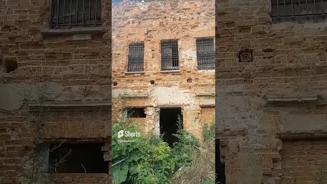 тайты забытого храма