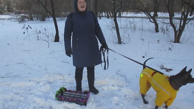 Жорик и Александра. Весёлые старты 21.12.2024