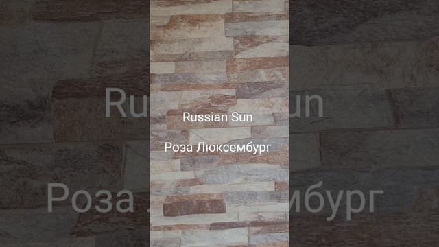 Russian Sun - Роза Люксембург