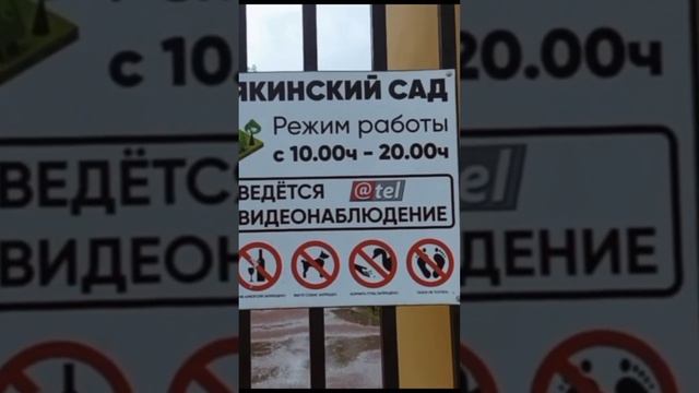 #Рыбинск в #дождь. #Карякинский #сад