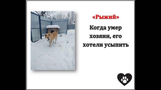 МАДОУ детский сад №34 ОСП 2 "Моя семья - Волонтеры", старшая группа