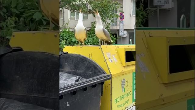1000069219.mp4
