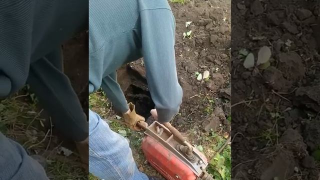 Когда ребёнок выкинул носки в унитаз...🙂