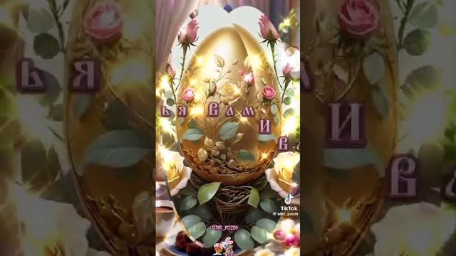 VID-20240505-WA0000.mp4