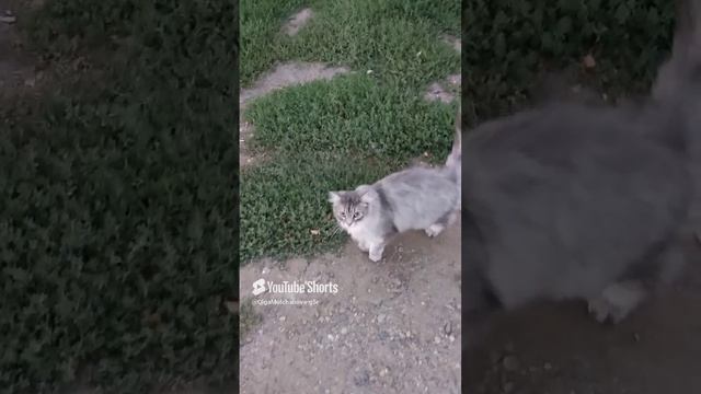 Кузьма