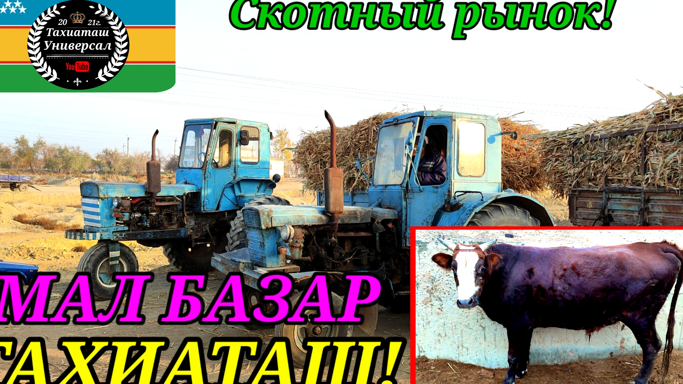 22-12-2024 СКОТНЫЙ РЫНОК -МАЛ БАЗАР.