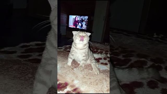 1000106516.mp4