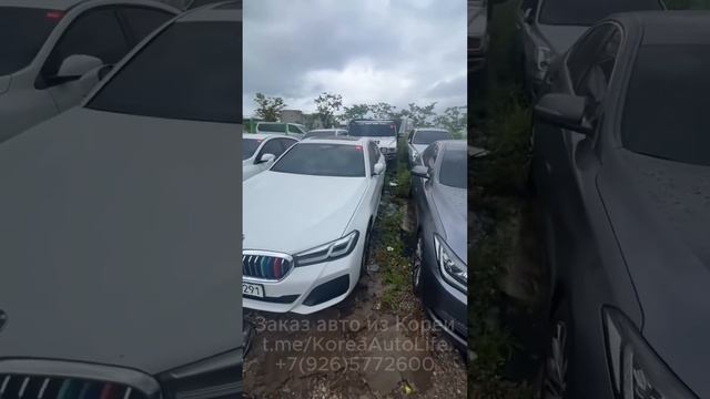 Привозим авто из Кореи, США, Германии, Китая. Вы знаете, где нас найти.