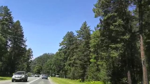 Возвращение домой с Алтая.