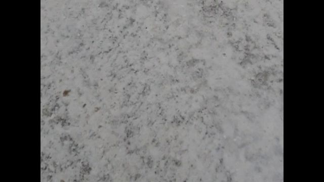 lv_0_20241222160354.mp4