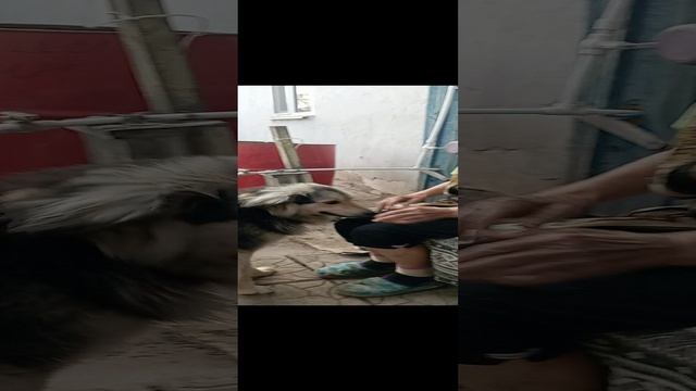 баба зина рулит