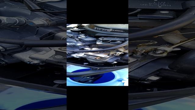 1000003647.mp4