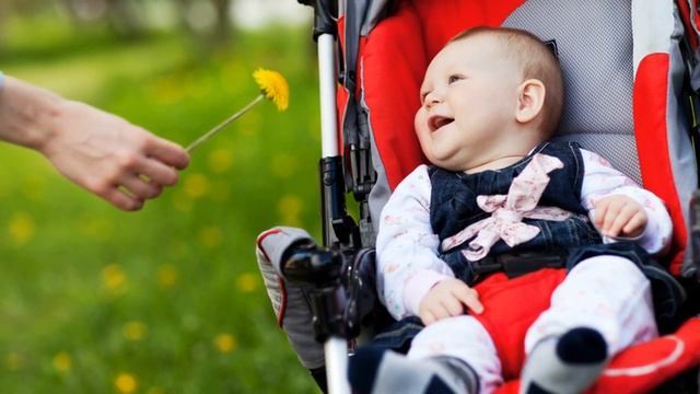 BOLANI SUTDAN KOKRAKDAN AJRATISH  БОЛАНИ СУТДАН КУКРАКДАН АЖРАТИШ