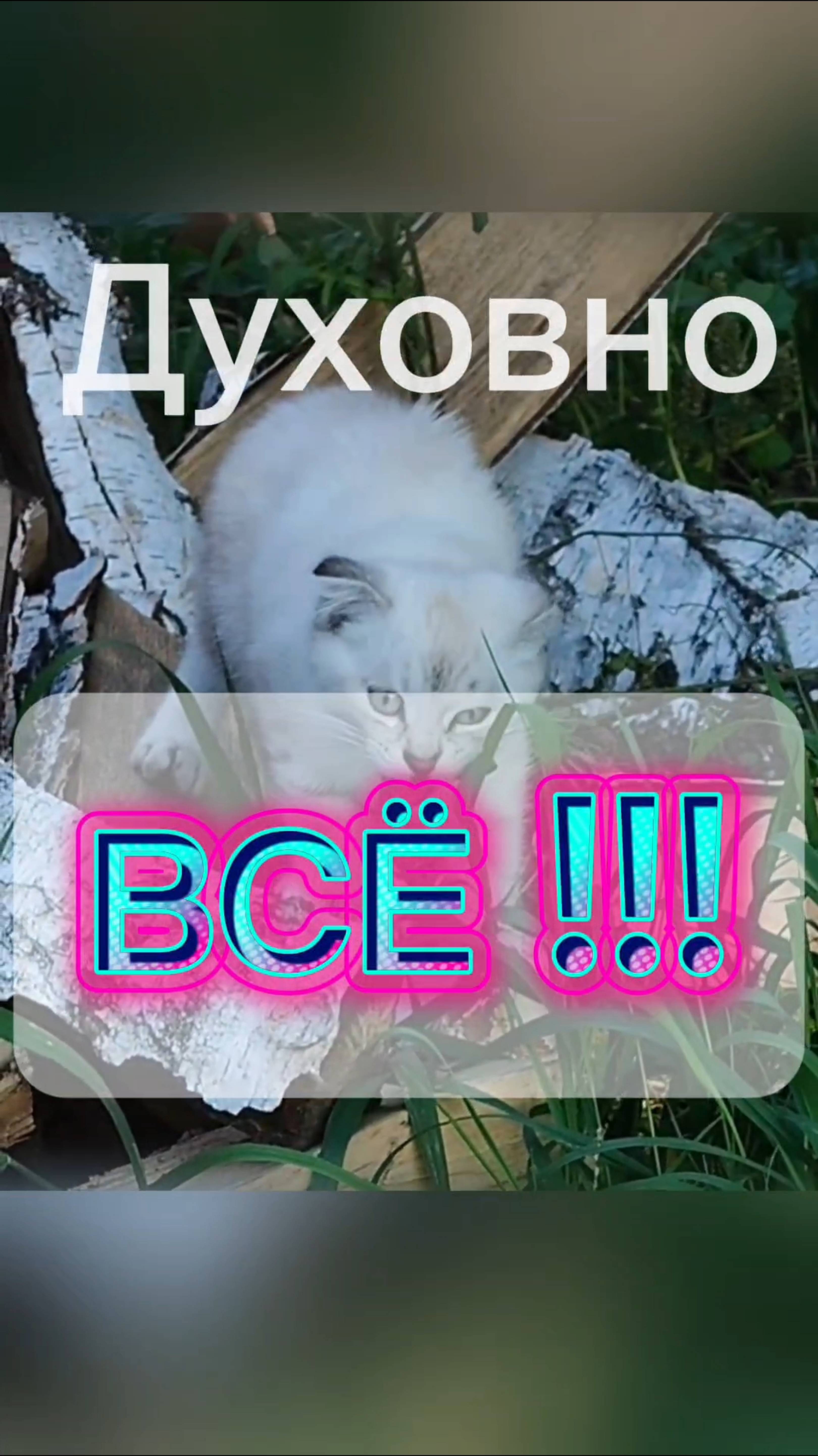 Духовно ВСЁ!
# осознанность, # целостность, # выход из дуальности.