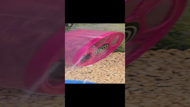 Хомяк балдеет.mp4