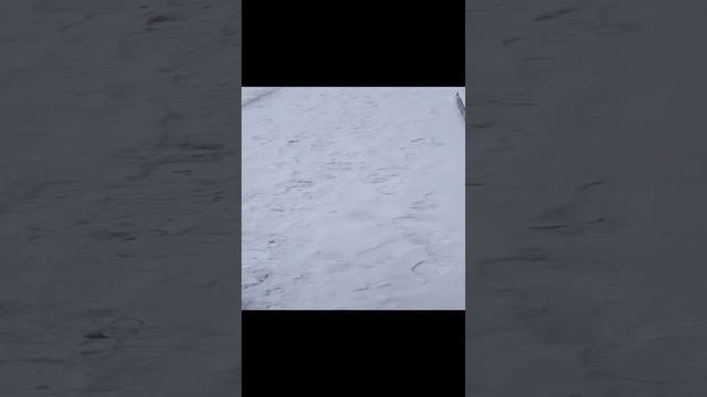 VAGIFOK ОСНОВА ПРЕДСКАЗАНИЯ ЧЕРЕЗ ОЩУЩЕНИЯ ЧАСТЬ 33